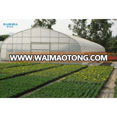 cheap tunnel green house baolida vegetable tunnel green house for tomato