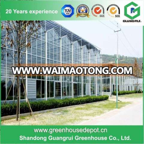 Factory Price Polycarbonate PC Sheet Greenhouse Manufacturer for Sale