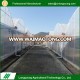 2017 Professional plastic film multi-span low cost agricultural greenhouse