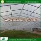 Hot sale factory price commercial plastic tunnel green house