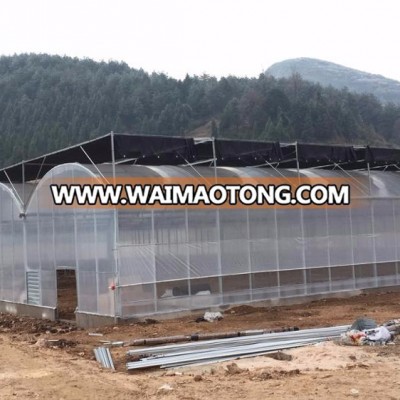 High Quality Large Geodesic Greenhouse