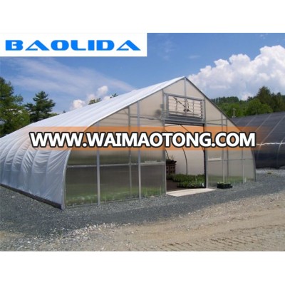 UV plastic sheet single layer greenhouse