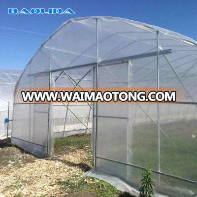 Necessity of tomato planting - PE covering single span tunnel greenhouse