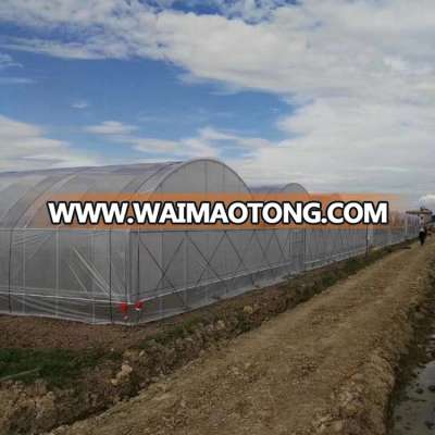 China cheap climate control greenhouse