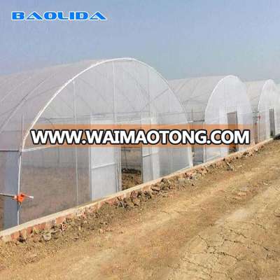 Manufacturer Greenhouse Tools Greenhouse Tunnel with Irrigation