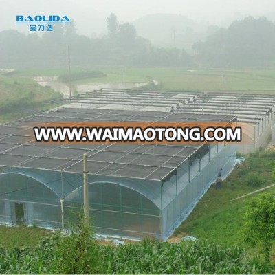 Chinese agricultural plastic film greenhouse with sprinkler irrigation