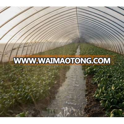 Economical Functional Vegetable & Fruit Growers Using Tunnel Greenhouse