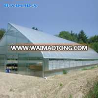 Cheap Tomato Greenhouse Clear Plastic Sheet Tunnel Greenhouse