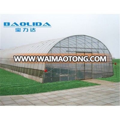 Chinese tunnel strawberries UV plastic greenhouse