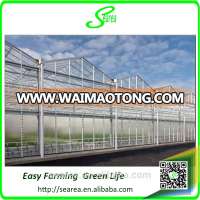 poly tunnel green house