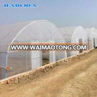 Hot Sale Tomato Agricultural Plastic Film Tunnel Greenhouse