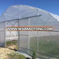 Low Cost Mental Hoop Greenhouse for Tomato