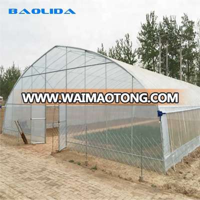 Film cover material and big size tunnel  greenhouse