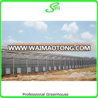 agricultural used greenhouse manufacturer