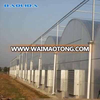 Good Quality Greenhouse Irrigation System for Tomato