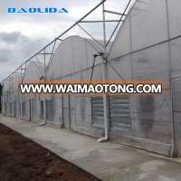 Commercial Tomato Dome Greenhouse