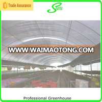 Whole large size greenhouse for produce