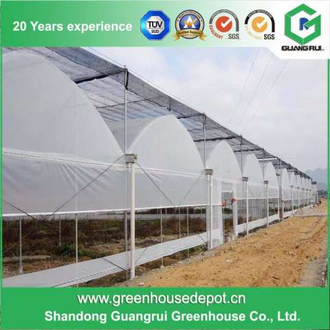 Film, Glass, PC Sheet Commercial Greenhouse Manufacturer with Competitive Price