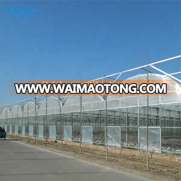 Film cover material and standard size multispan greenhouse