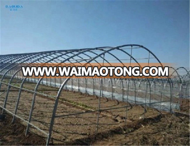 Large size  tunnel greenhouse for vegetable used wholesale