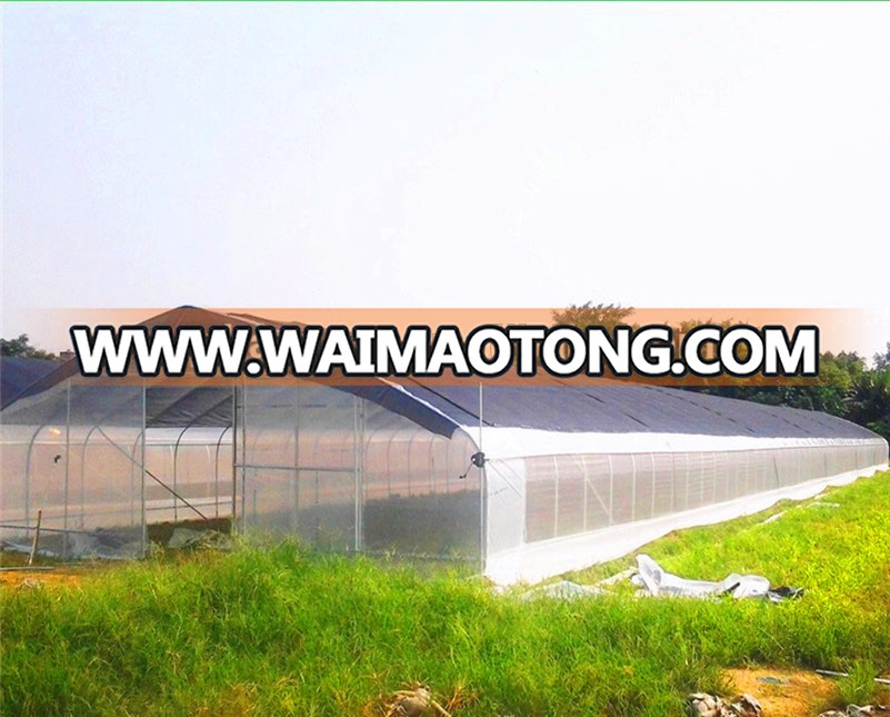 plastic Film Covering PE film greenhouse and plastic tunnel arch greenhouse for tomato greenhouse